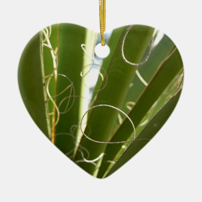 Yucca Leaves Green Nature Photography Ceramic Ornament (Front)