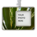 Yucca Leaves Green Nature Photography Christmas Ornament