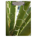Yucca Leaves Green Nature Photography Clipboard