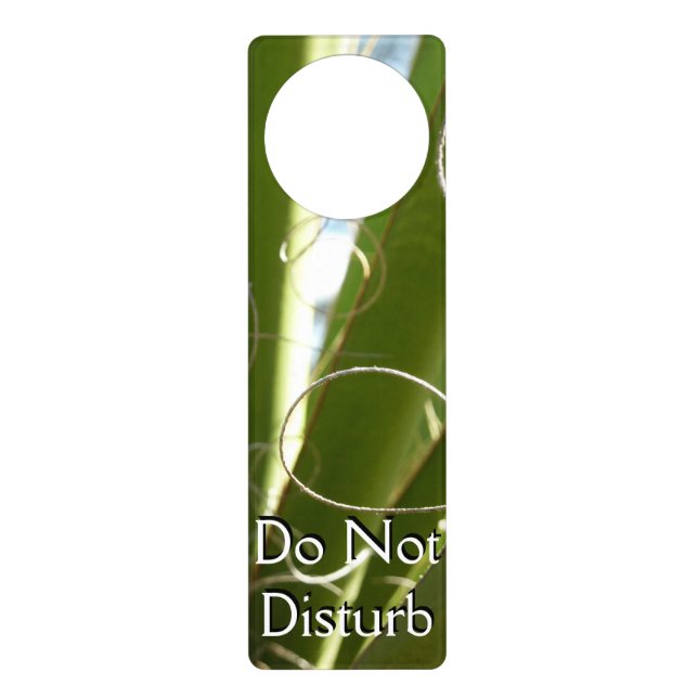 Yucca Leaves Green Nature Photography Door Hanger (Front)