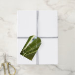 Yucca Leaves Green Nature Photography Gift Tags