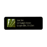 Yucca Leaves Green Nature Photography Label
