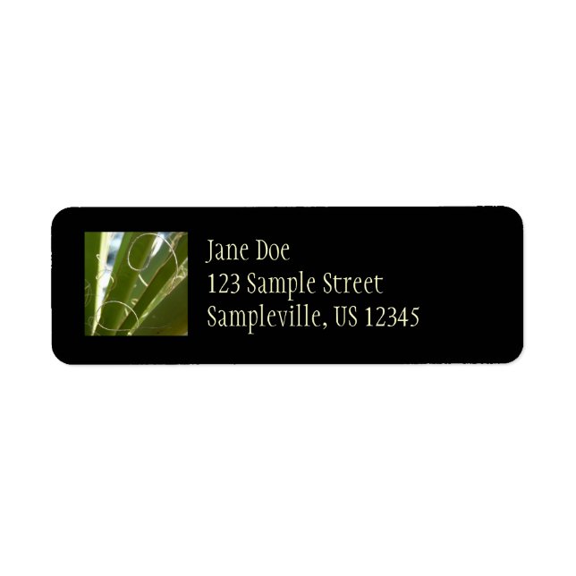 Yucca Leaves Green Nature Photography Label (Front)