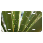 Yucca Leaves Green Nature Photography License Plate