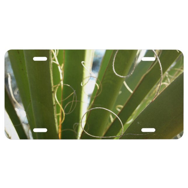 Yucca Leaves Green Nature Photography License Plate (Front)