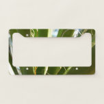 Yucca Leaves Green Nature Photography License Plate Frame