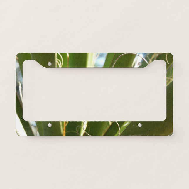 Yucca Leaves Green Nature Photography License Plate Frame (Front)