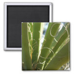 Yucca Leaves Green Nature Photography Magnet