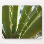 Yucca Leaves Green Nature Photography Mouse Pad