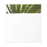 Yucca Leaves Green Nature Photography Notepad