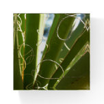 Yucca Leaves Green Nature Photography Paperweight