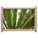 Yucca Leaves Green Nature Photography Serving Tray