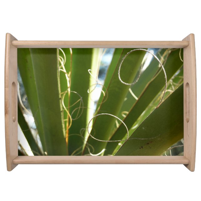 Yucca Leaves Green Nature Photography Serving Tray (Front)