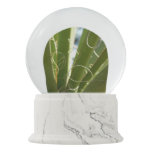 Yucca Leaves Green Nature Photography Snow Globe