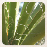 Yucca Leaves Green Nature Photography Square Paper Coaster