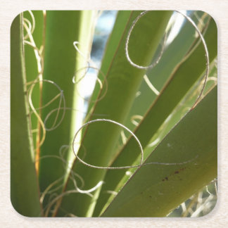 Yucca Leaves Green Nature Photography Square Paper Coaster