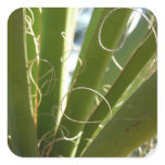 Yucca Leaves Green Nature Photography Square Sticker