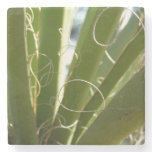 Yucca Leaves Green Nature Photography Stone Coaster