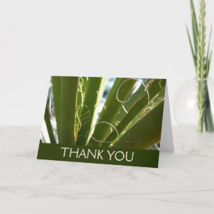 Yucca Leaves Green Nature Photography Thank You Card