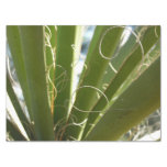 Yucca Leaves Green Nature Photography Tissue Paper