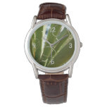 Yucca Leaves Green Nature Photography Watch