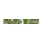 Yucca Leaves Green Nature Photography Wrap Around Label
