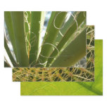 Yucca Leaves Green Nature Photography Wrapping Paper Sheets