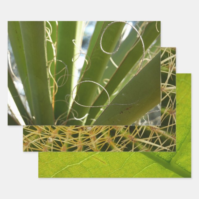 Yucca Leaves Green Nature Photography Wrapping Paper Sheets (Set)