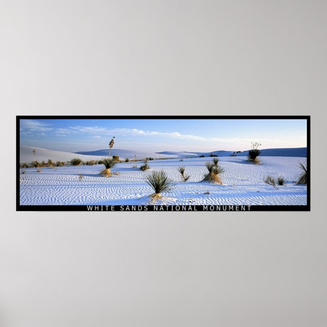 Yucca Panorama Poster (Front)