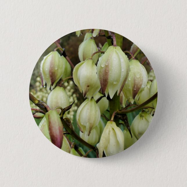 Yucca Plant Badge Button (Front)
