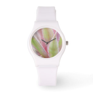 Yucca plant close-up watch