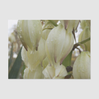 Yucca Plant  Tissue Paper