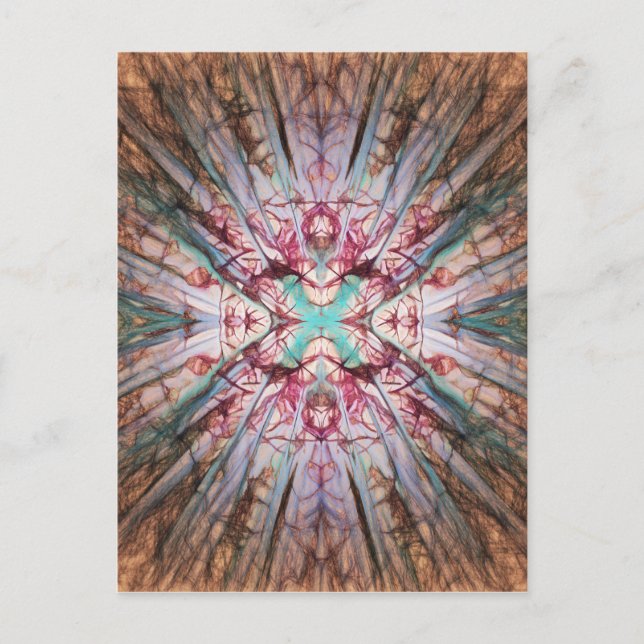 Yucca Warm Glow Postcard (Front)