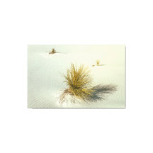 Yuccas at White Sands