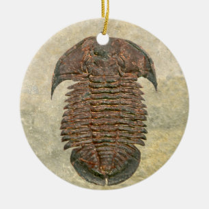 Yuepingia Fossil Trilobite Ceramic Ornament