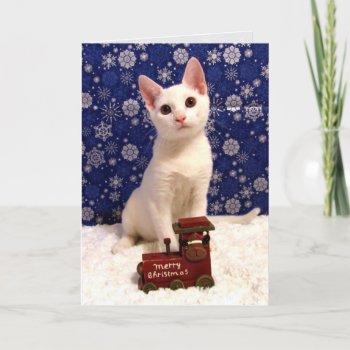 Yuki's Christmas Train - Cat Holiday Greeting Card