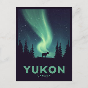 Yukon Aurora Moose Vintage Northern Lights Postcard