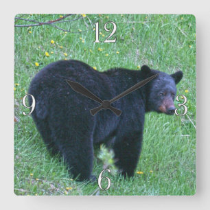 Yukon Black Bear & Wilderness Photo Art Square Wall Clock