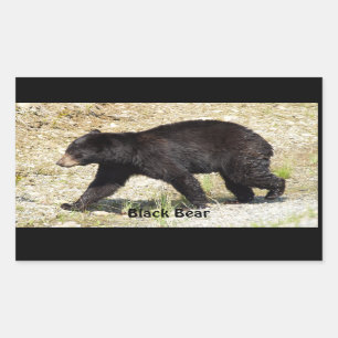 Yukon Black Bear Wildlife Sticker Gifts
