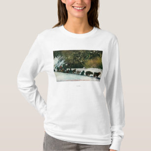 Yukon Dog Team Freighting Through Alaska Canyon T-Shirt