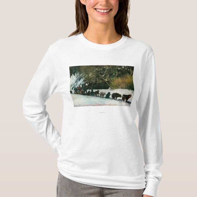 Yukon Dog Team Freighting Through Alaska Canyon T-Shirt (Front)