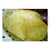 Yukon Gold potato (Front Horizontal)