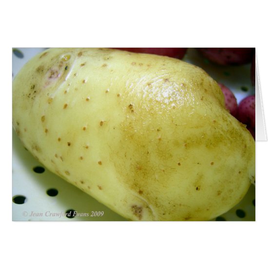 Yukon Gold potato
