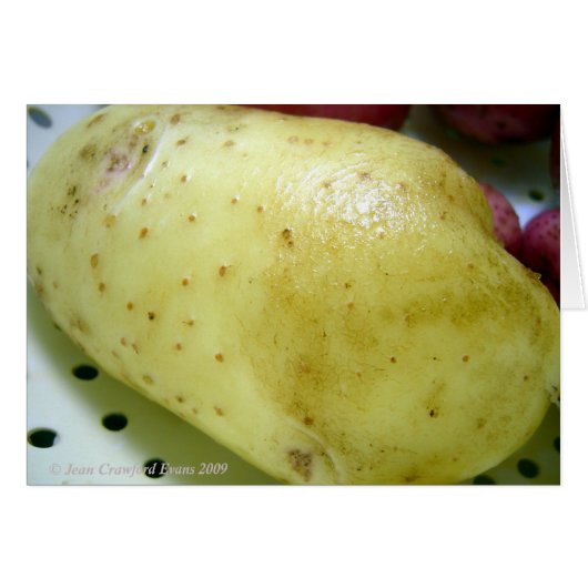 Yukon Gold potato Cards (Front Horizontal)