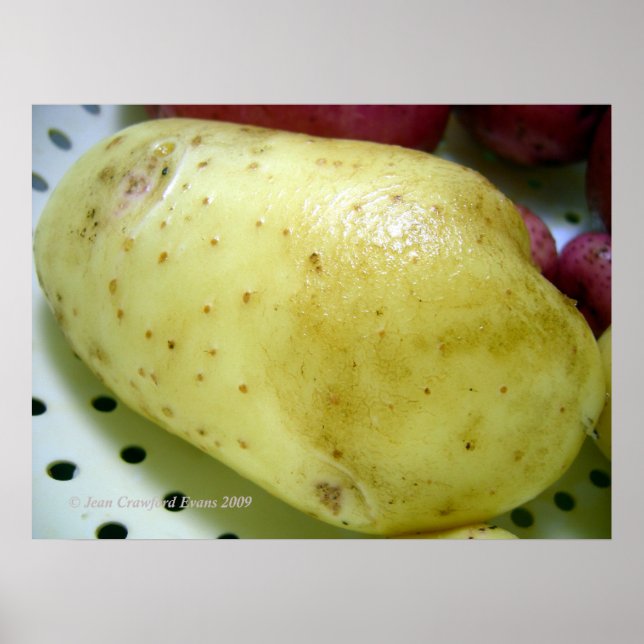 Yukon Gold potato Poster (Front)