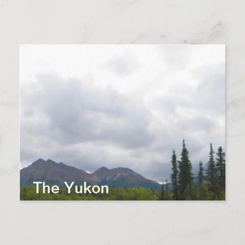 Yukon Landscape Postcard