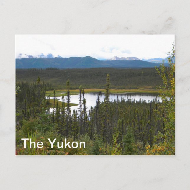 Yukon Pond Postcard (Front)