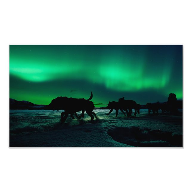 Yukon Quest Magic Photo Print (Front)