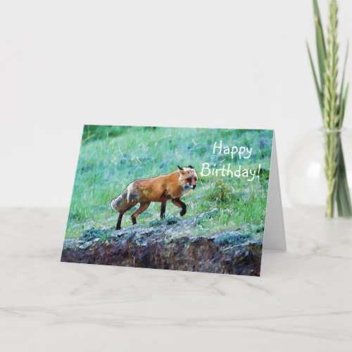 Yukon Wildlife  _ Red Fox Card