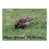 Yum!  Worms! (Front Horizontal)